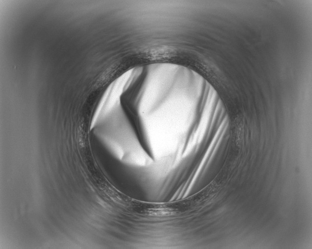 X0000061150316200512022321