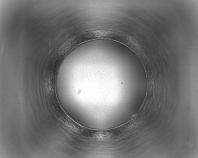 X0000061150317200512022321