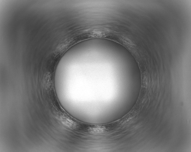 X0000061150318200512022321