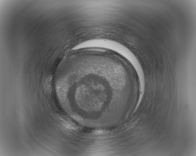 X0000061150319200512022321