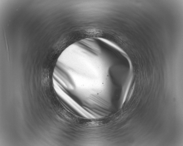 X0000061150320200512022321