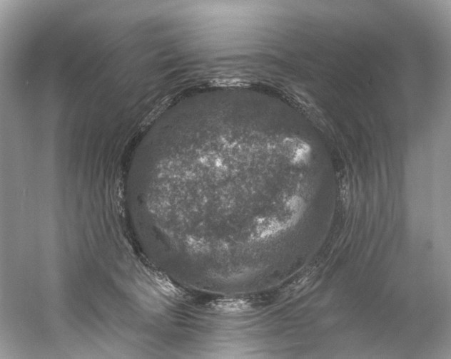 X0000061150322200512022321