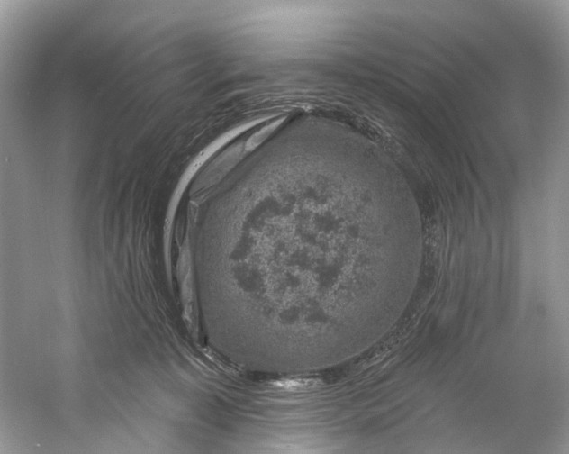 X0000061150323200512022321