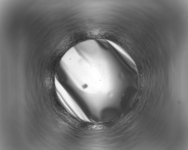 X0000061150324200512022321