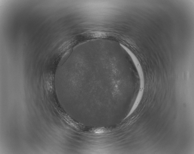 X0000061150325200512022321