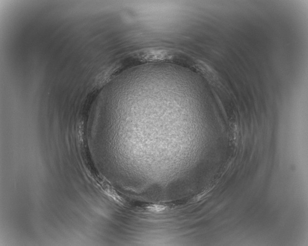 X0000061150326200512022321