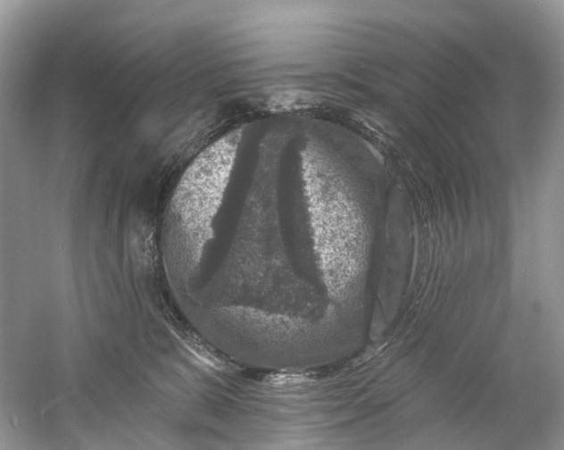 X0000061150327200512022321