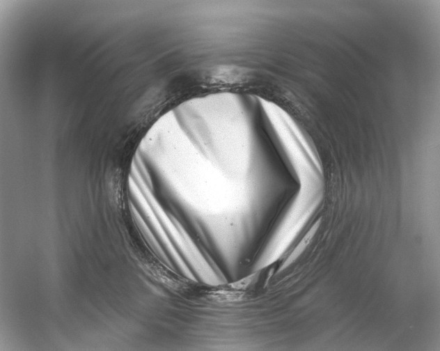 X0000061150328200512022321