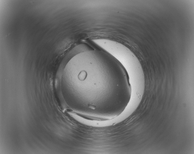 X0000061150329200512022321