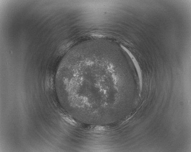 X0000061150330200512022321