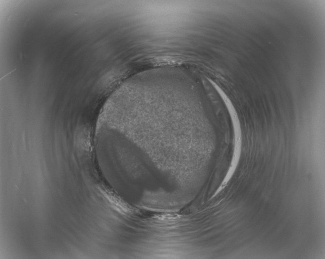 X0000061150331200512022321