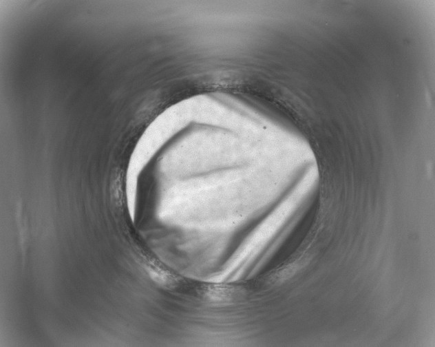 X0000061150336200512022321