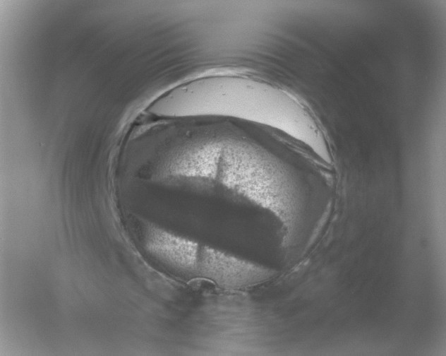 X0000061150337200512022320