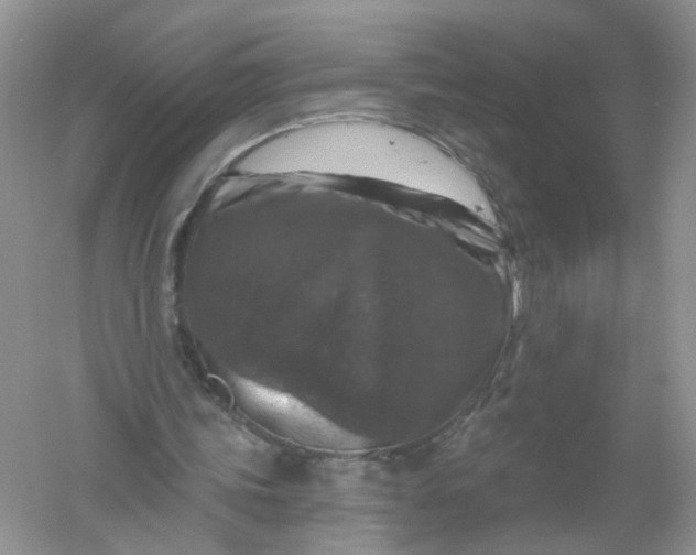 X0000061150339200512022320