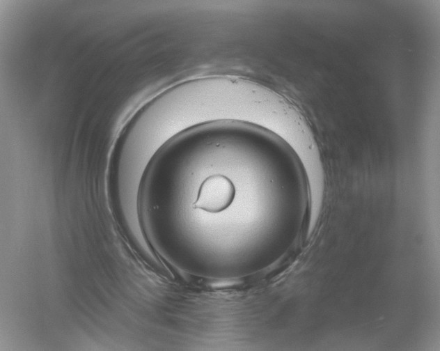 X0000061150340200512022320