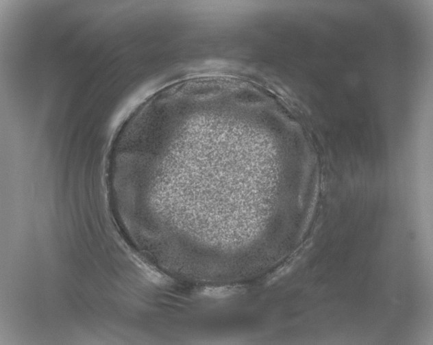 X0000061150341200512022320