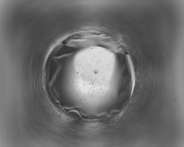 X0000061150342200512022320