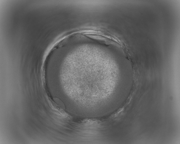 X0000061150343200512022320