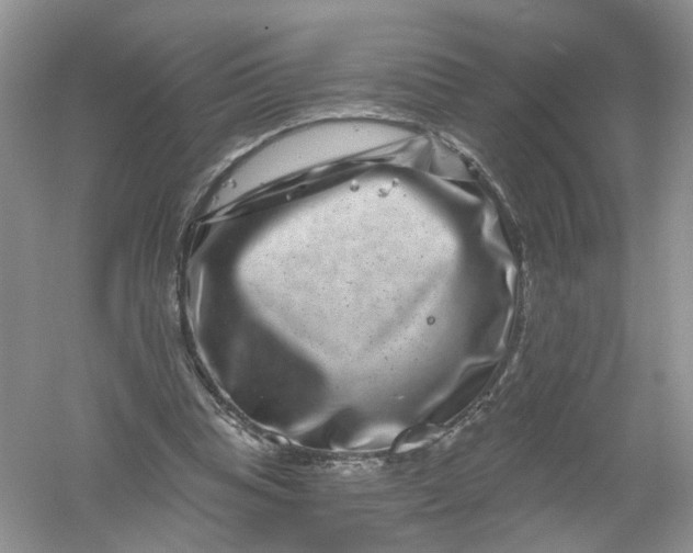 X0000061150345200512022320