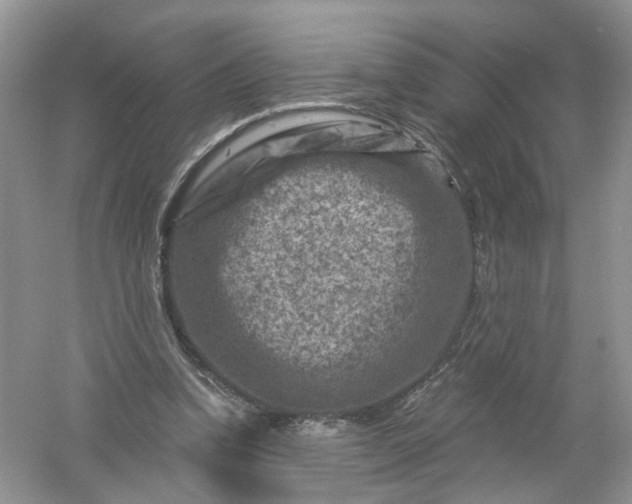 X0000061150346200512022320