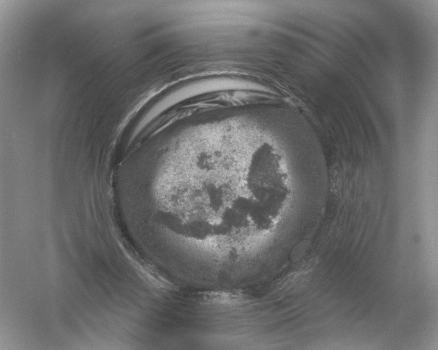 X0000061150347200512022320