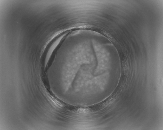 X0000061150350200512022320