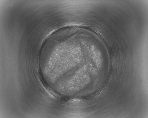 X0000061150352200512022320