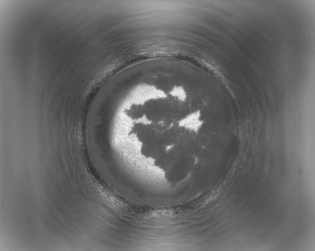 X0000061150353200512022320