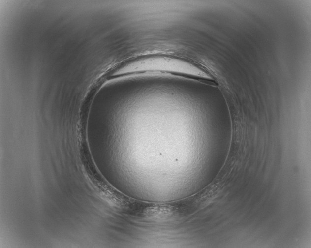 X0000061150354200512022320