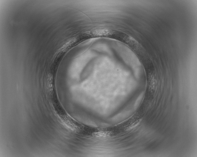 X0000061150356200512022320