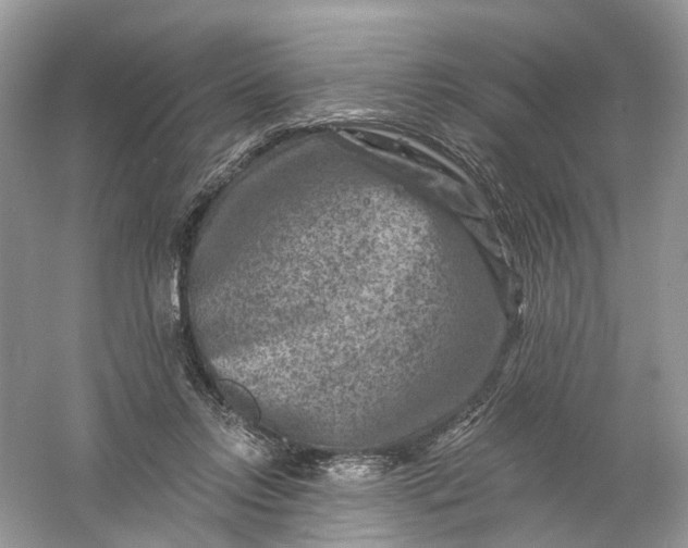 X0000061150358200512022320