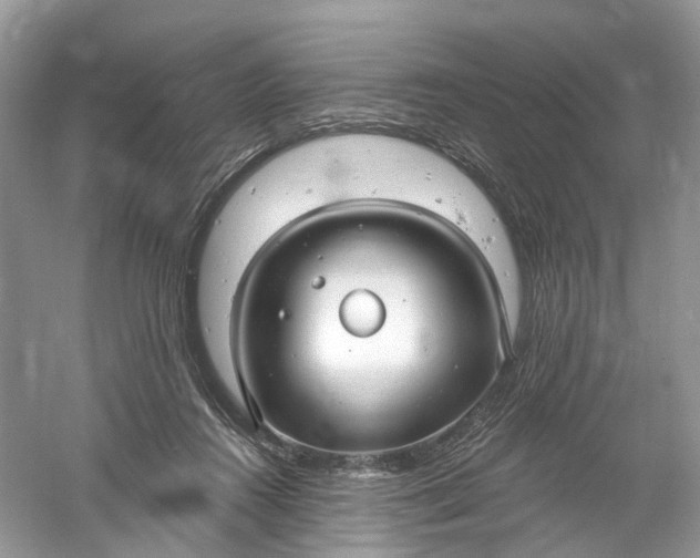 X0000061150360200512022320