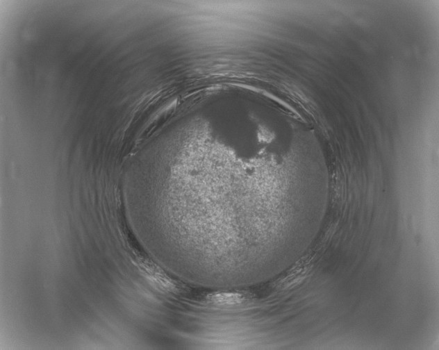 X0000061150361200512022320