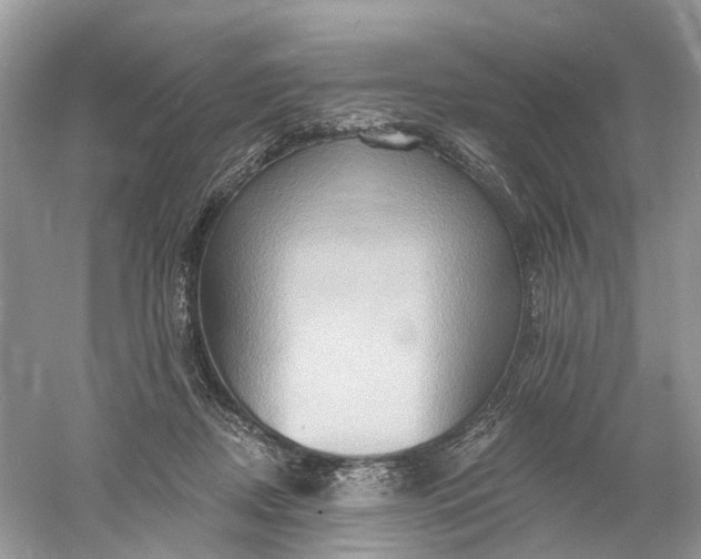 X0000061150362200512022321