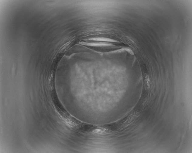 X0000061150364200512022321