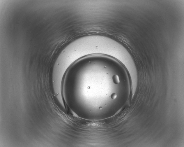 X0000061150365200512022321