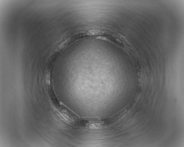 X0000061150368200512022321