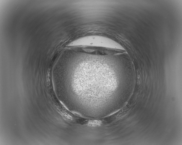 X0000061150369200512022321