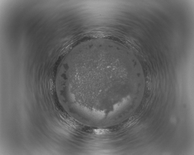 X0000061150371200512022321