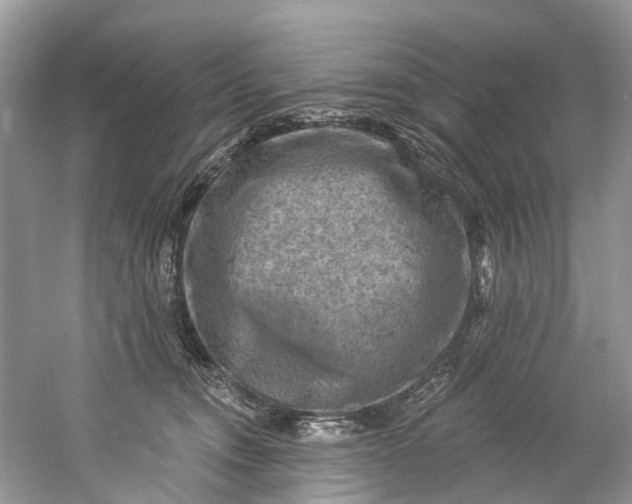 X0000061150372200512022321