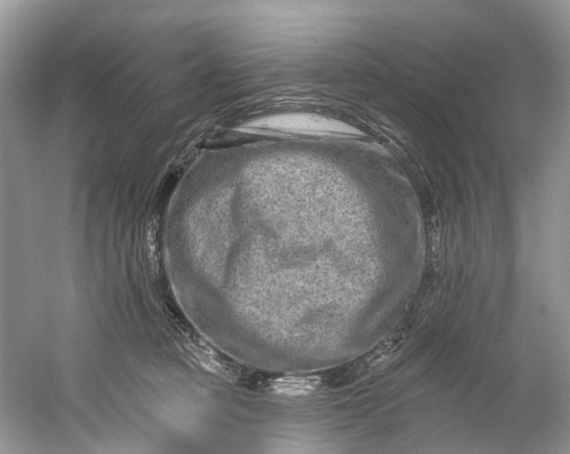 X0000061150373200512022321