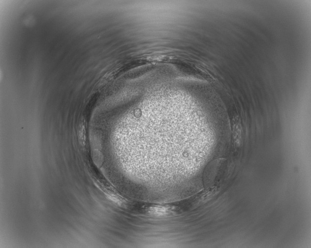 X0000061150375200512022321