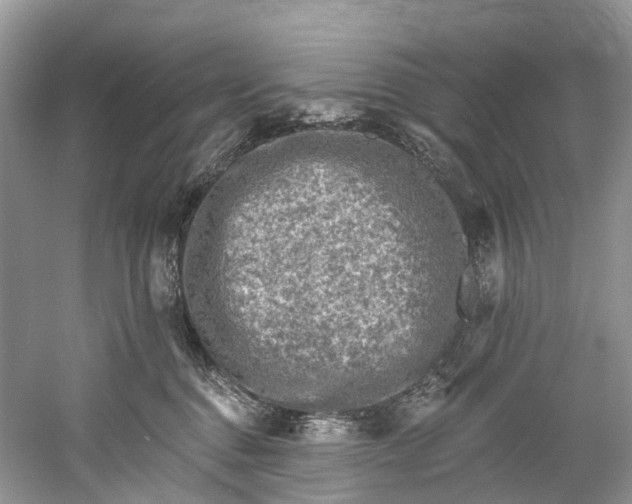 X0000061150376200512022321