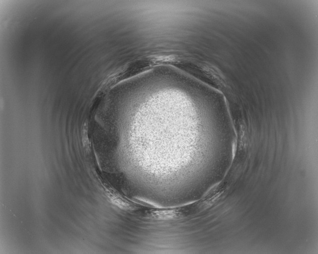 X0000061150377200512022321