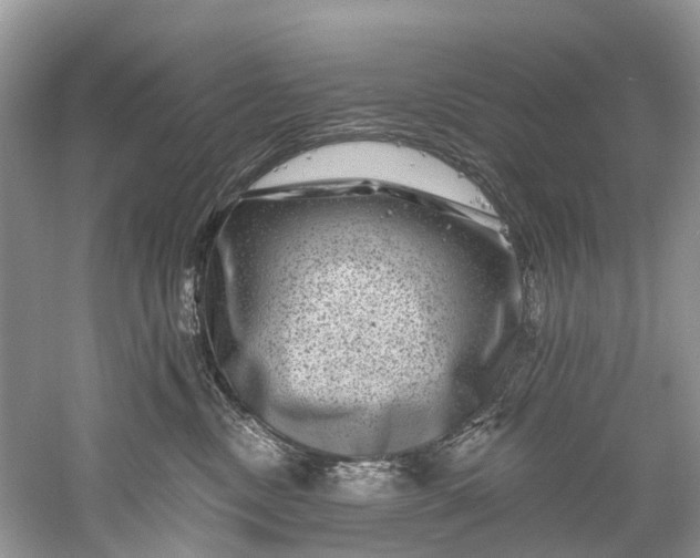 X0000061150378200512022321