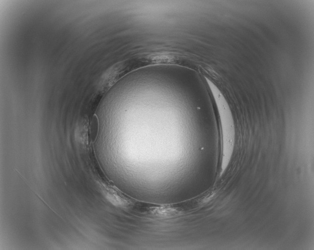 X0000061150379200512022321