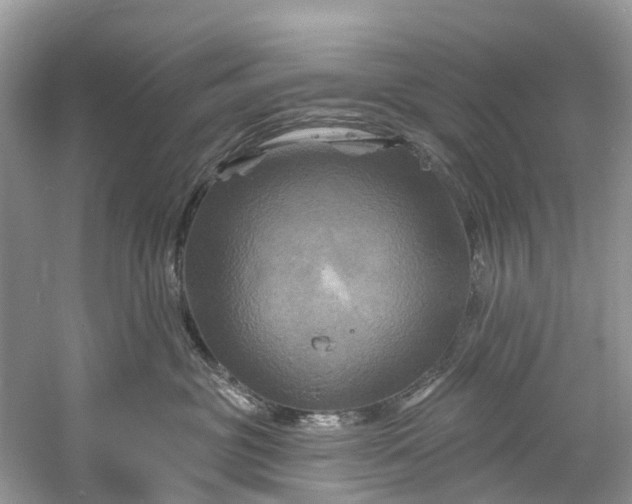 X0000061150381200512022321