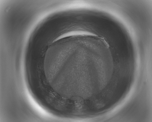 X0000061150382200512022321