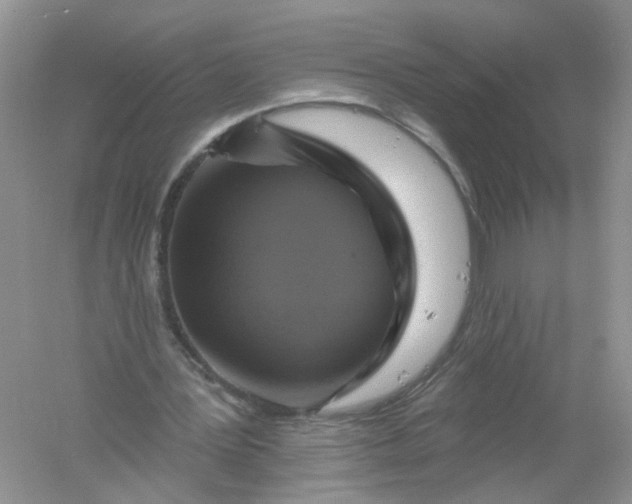 X0000061150387200512022320