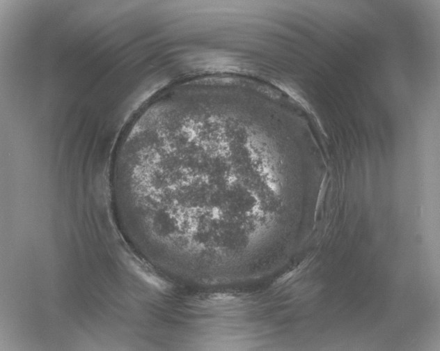 X0000061150390200512022320